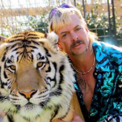 Non Guarantor Sub avatar